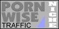 Porn Wise Toplist Traffic Resource